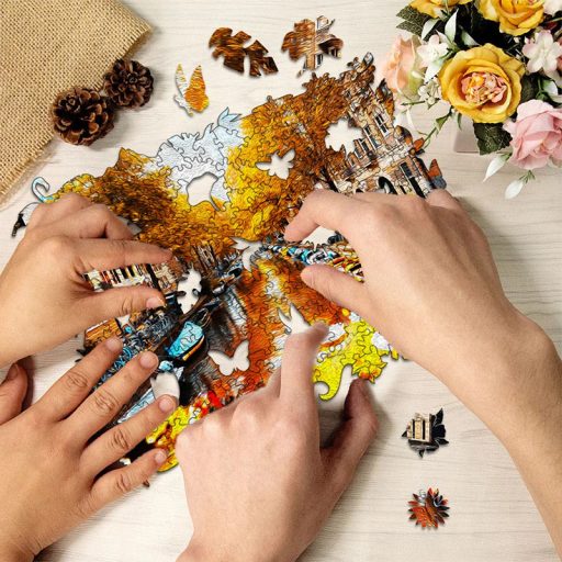 Wooden Jigsaw Puzzle in Australia - Amsterdam